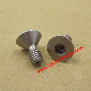 Non-Standard Stainless Steel Hexagon Hex Socket Head Cap Machine Screw