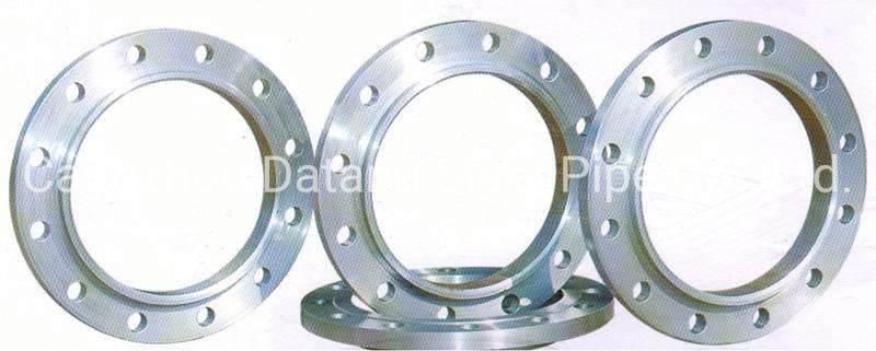 ASTM A182 / F316/316L Stainless Steel Forged Flanges