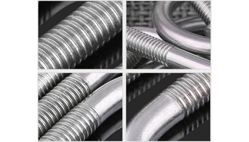 Zinc Plate U Bolt Carbon Steel Fasteners U-Bolt DIN3570 U Bolts Made in China U Shape Pipe Clamp