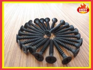 Good Price Carton Steel Black Drywall Screw