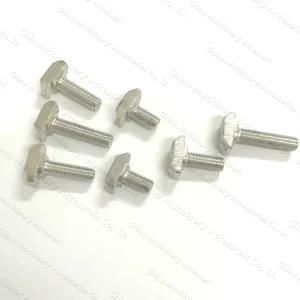 Stainless Steel Screw Bolt and Nut Assortment