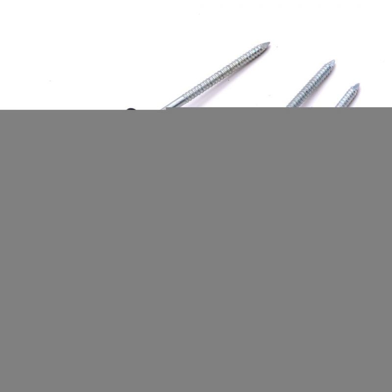 Cheap Galvanized Umbrella Head Roofing Nails, Corrugated Roofing Nails