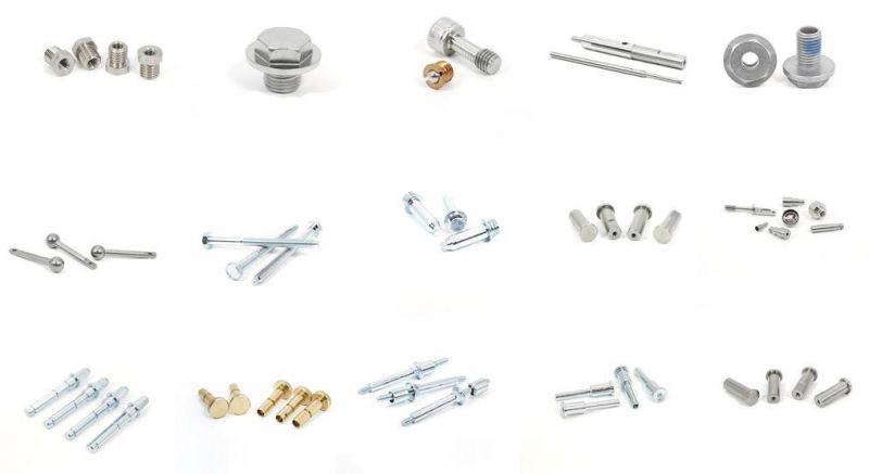 China Supply 304 316 Stainless Steel Pan Head Torx Screw