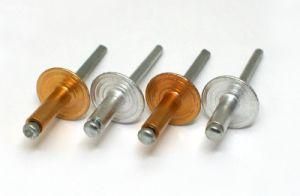 Motor Parts Fastener Button Head Rivet Manufacturer