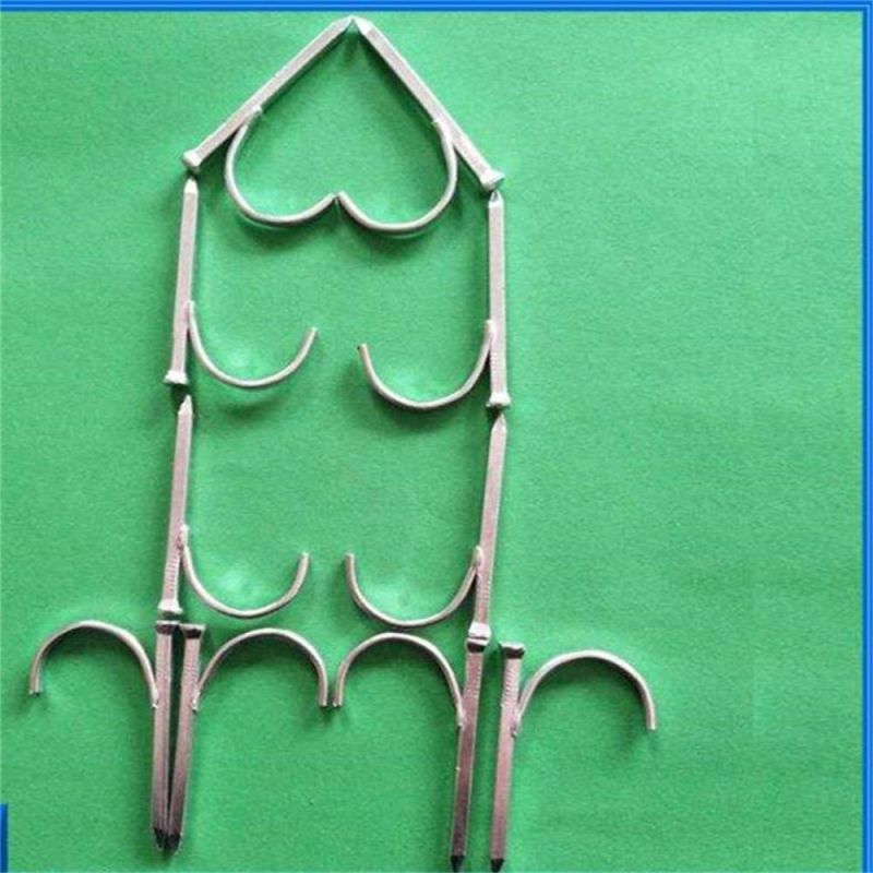 Pipe Fixing Card Fixing Hook 4-6 - PPR Pipe Hook Nail