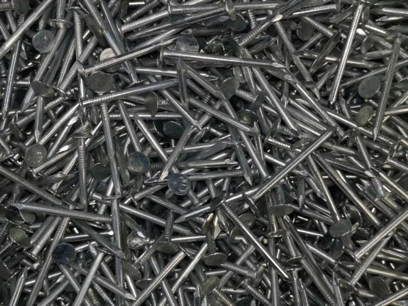 Manufacturer Wholesale High Quality Common Iron Nail