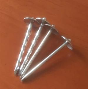 Linyi Factory Cheap Zinc Plated Umbrella Head Roofing Nail