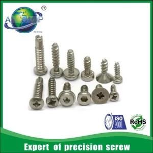 High Quality Screw Head Types