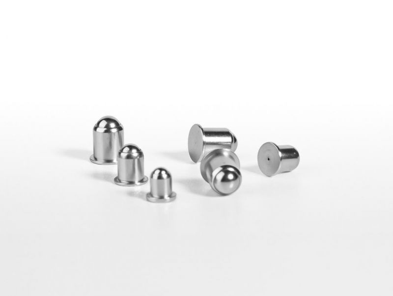 Heavy End Pressure Stainless Steel Spring Plunger Ball Screw Plunger