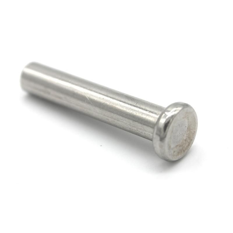 Stainless Steel 304 316 Copper Thin Flat Head Semi Tubular Metal Rivet for Furniture
