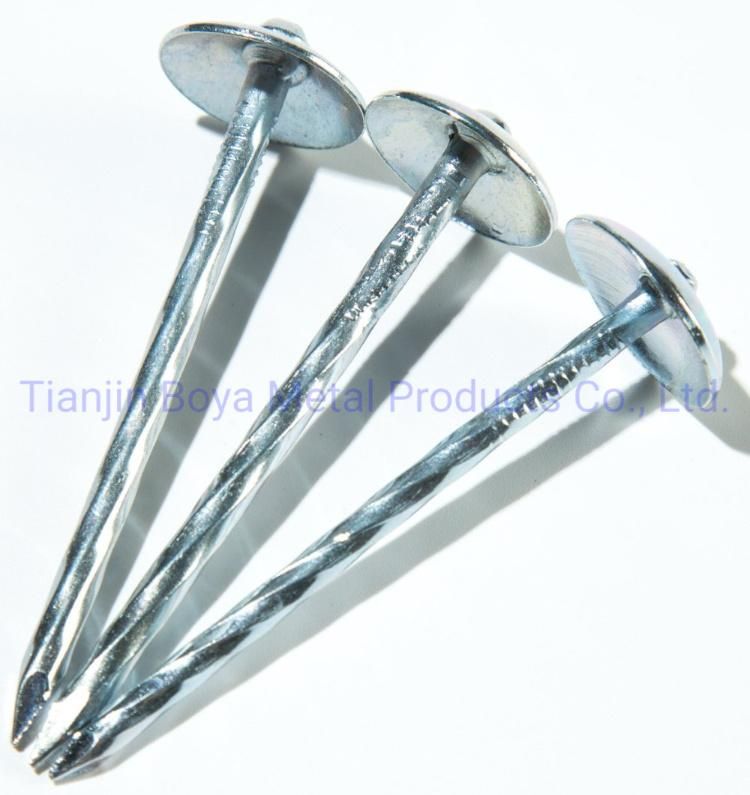 Clout Nails /Big Head Electro Galvanized Roofing Nails