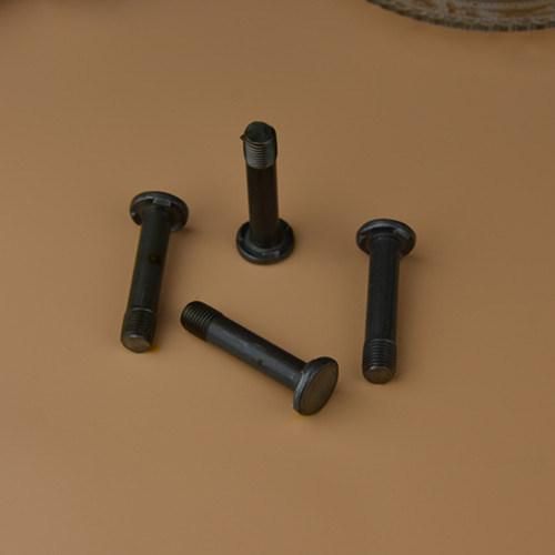 Step Screw Big Head Screw/Step Bolts/Special Bolts