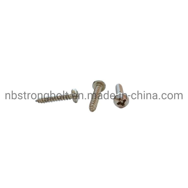 SS304 DIN7981 Pan Head Tapping Screw with Cross Recessed