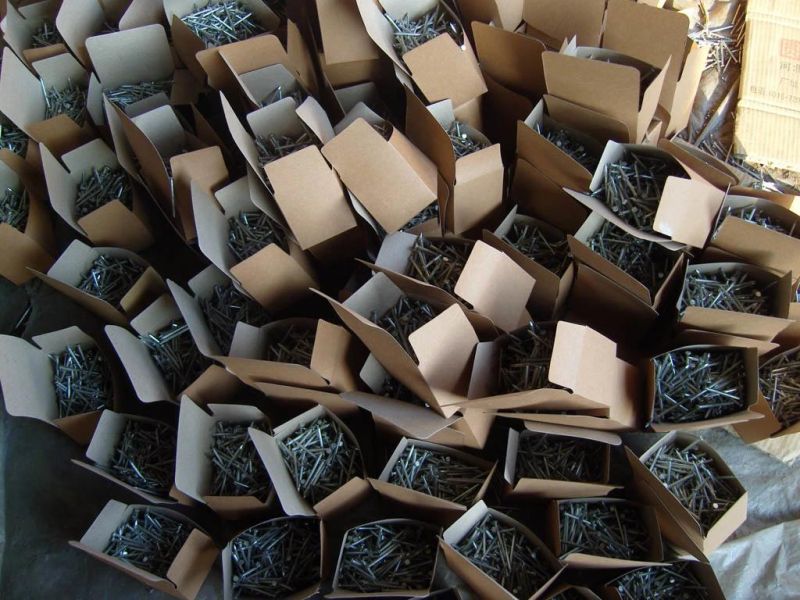 Galvanized Cement Steel Nail Concrete Steel Nail