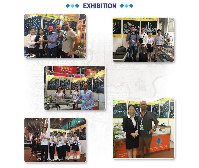 China ANSI Weifeng Bulk Carton Building Industry D Shackle G209