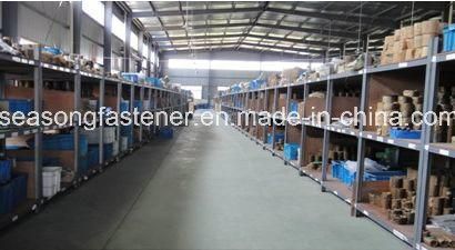 Eye Bolt / Eyebolt (DIN580)