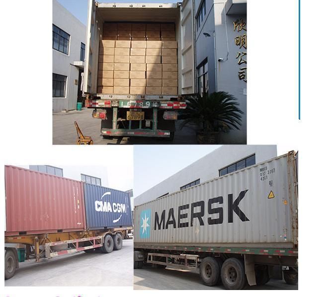 Wholesale Bulkhead Fittings Plastic PPR Pipe Fitting