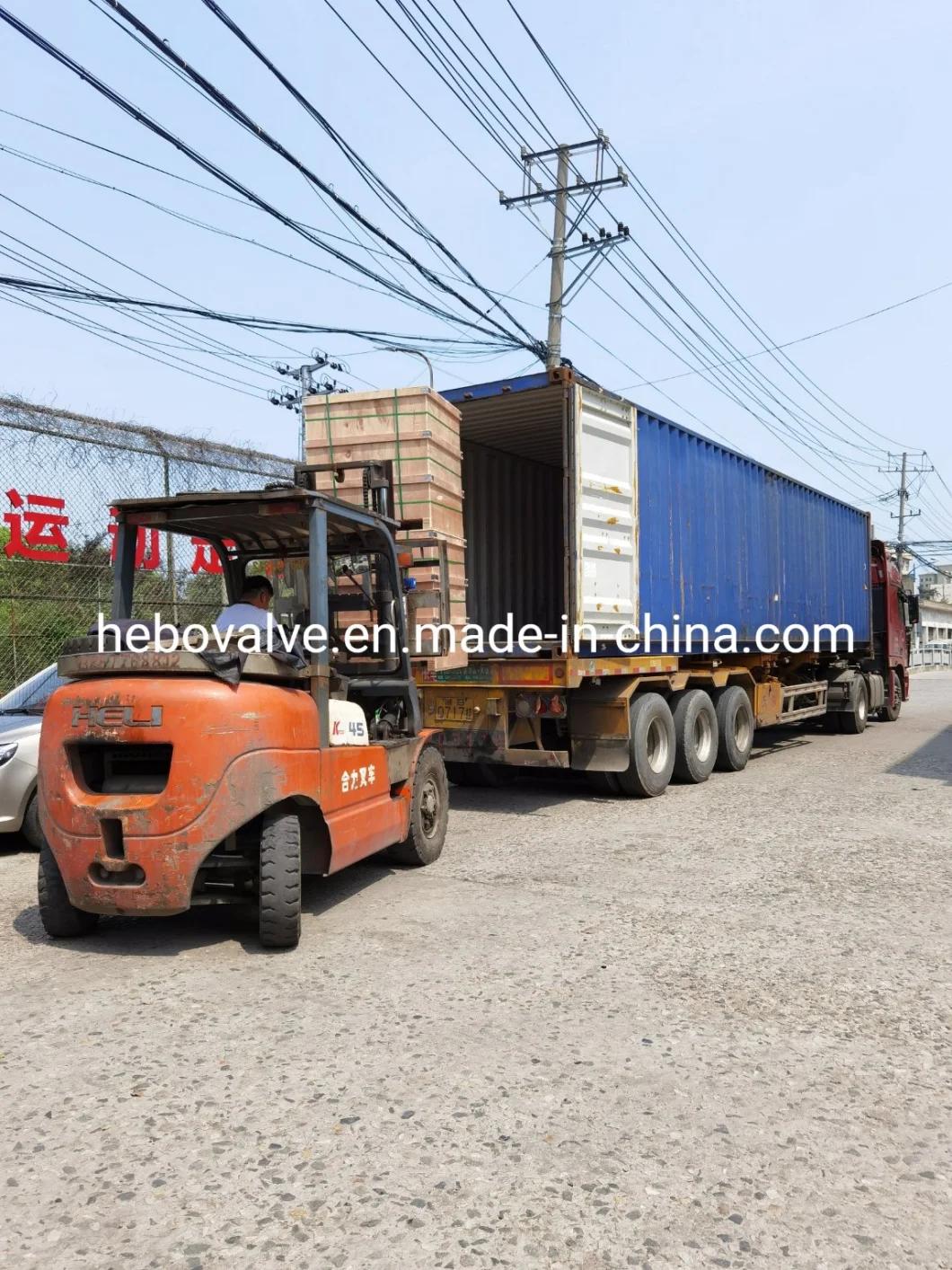 SS304/316L Sanitary Stainless Steel SMS/DIN/ISO Union Set Food Grade
