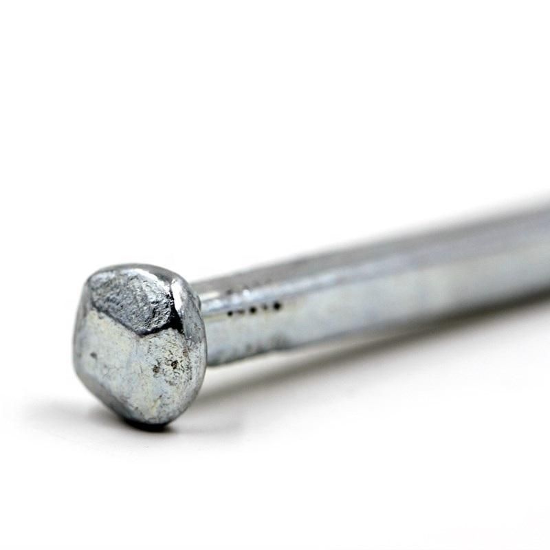 Factory Supply Electro Galvanized Square Boat Nail for Building