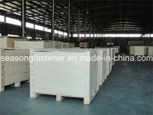 Stainless Steel External Lock Washer / Tooth Washer (DIN6798A)