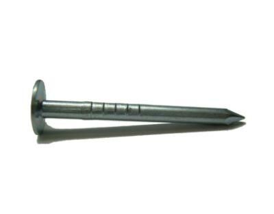 1 1/2&quot; to 4&quot; Plain Giant Head Smooth Shank Clout Nails