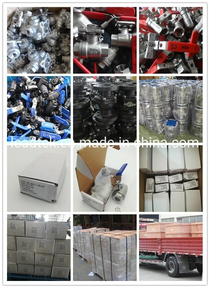 Ss Stainless Steel DC Dust Cap Fittings