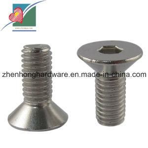 304 Stainless Steel Sink Head Inner Hexagon Screw (ZH-SP-080)