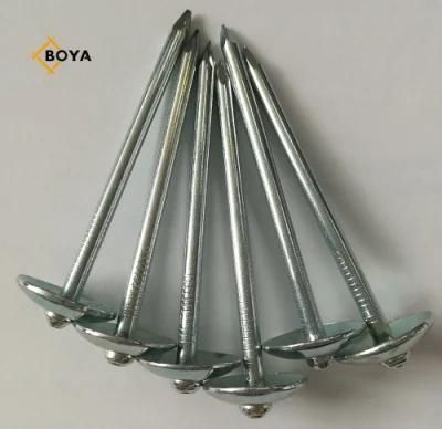 Tianjin Factory Q235 Electric Galvanized Roofing Nail