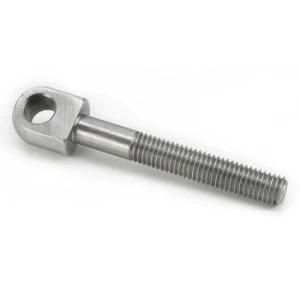 Custom Stainless Steel Latch Swing Bolt