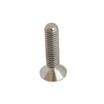 Anodized Disc Head Torx Titanium Bolts Screw