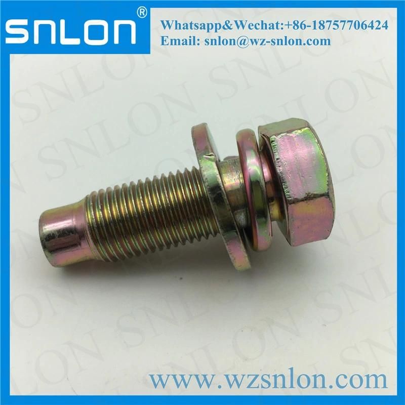 High Quality Cap Screw with Dog Point and Washer