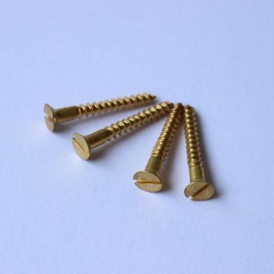 Promotional Top Quality Fastener Manufacture Slotted Countersunk Head Screws