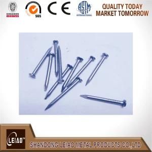 All Sizes Common Round Nail Factory