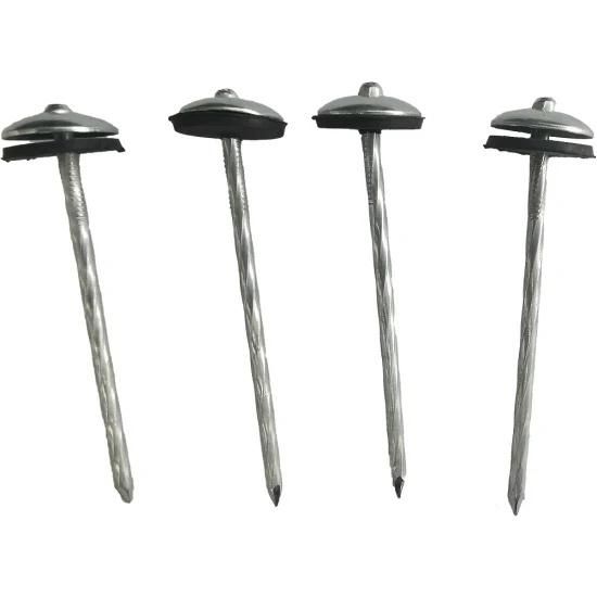Hot Sale Galvanized Umbrella Roofing Nails Clavo with Rubber Washer in Peru From Tianjin Nail Manufacture