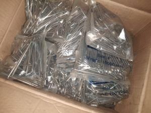 Common Polished Nail for South America Market