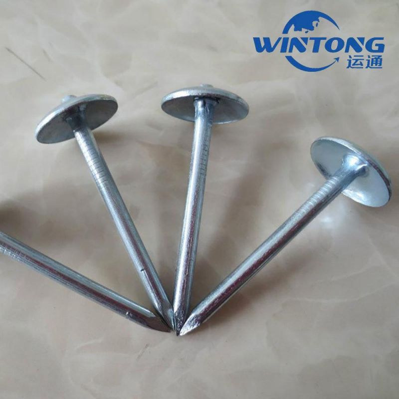 Roofing Nails, Umbrella Head Twisted Shank Smooth Shank, Corrugated Nail Production