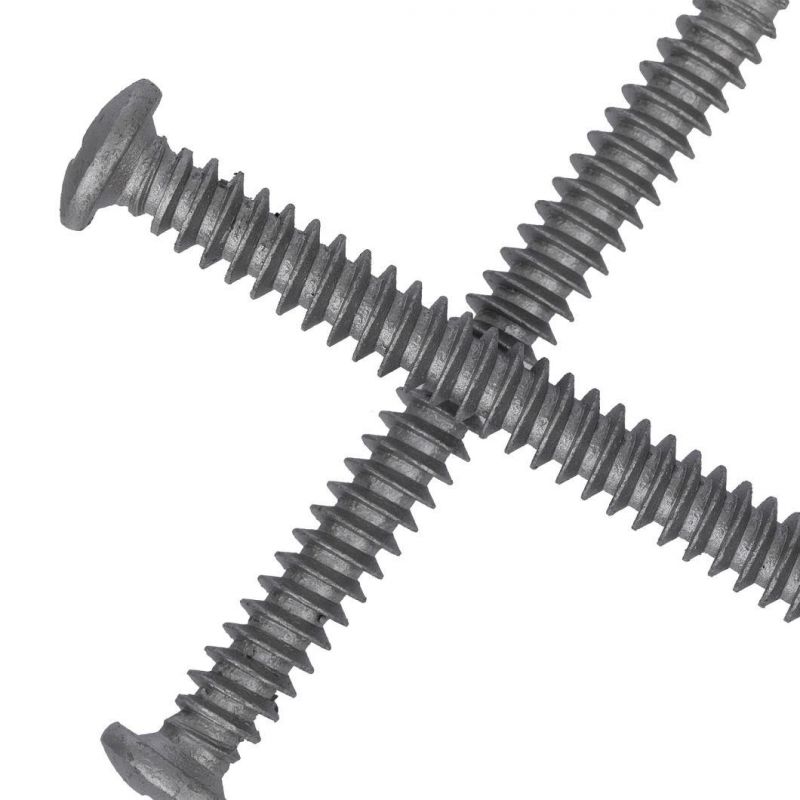 Stainless Steel Tapping Screws/Drilling Screws/Furniture Screws/Hex Flange Head Screws/Hex Socket Screws/Dry Wall Screws/Core Plate Screws