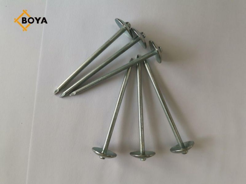 Harden Steel Umbrella Head Roofing Nail with Factory Price