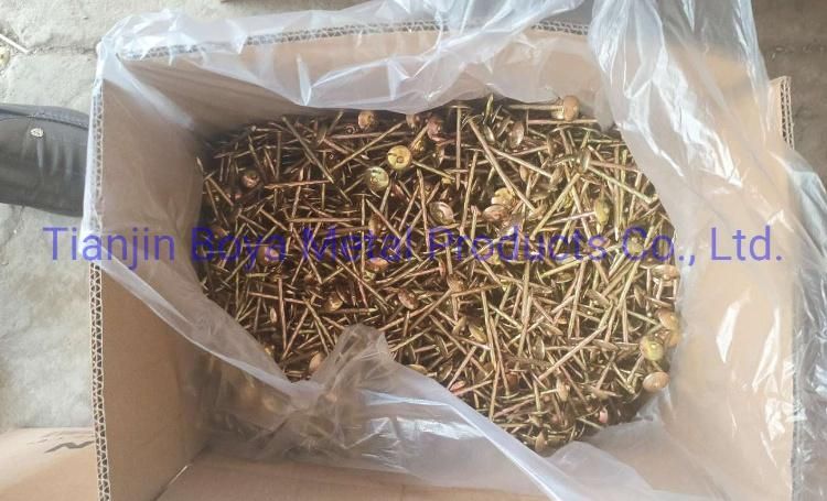 Good Quality Galvanized Umbrealla Head Roofing Nails China Factory