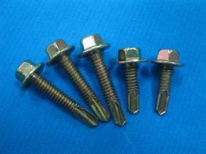 Hexagonal Head Screw