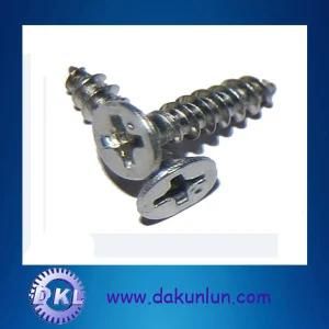 T6 Torx Stainless Steel Screw (DKL-S004)