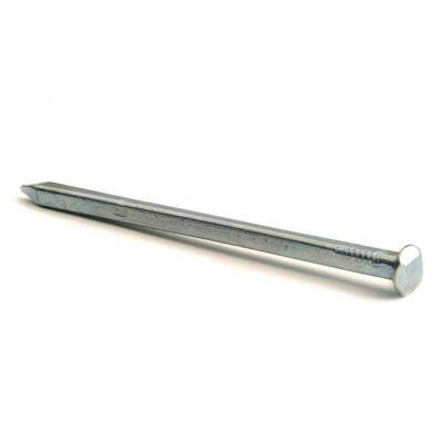 Wholesale Electro Galvanized/Hot Dipped Galvanized Square Boat Nail