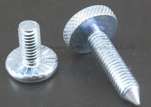 Sloted Round Head Machine Screw with Knurling (KB-24)