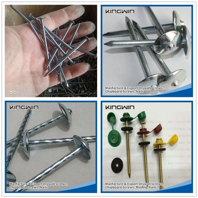 Factory 1/2" 3/4" 5/8"1" Blue Shoe Tack Nail Three Star 380g/Box 400g/Box 1lb/Box 56boxes/Carton with Cheaper Price