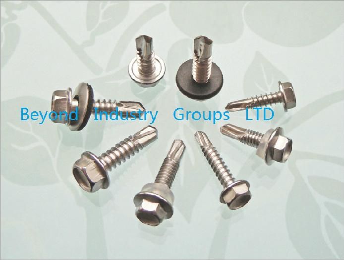 Screw/Tek Screw/Self Drilling Screw/Self Tapping Screw /Fastener