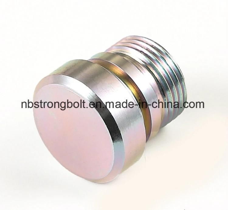 CNC Stainless Steel Parts Customized Factory Non-Standard Stainless Steel Screw and Nut to Figure Custom Zinc Plated