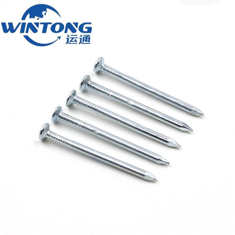 Iron Nail/Metal Nail/Concrete Nail