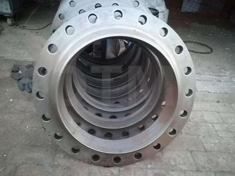 Forging/Casting Stainless Steel Flanges Pipe Fitting Alloy Steel Loose Flange