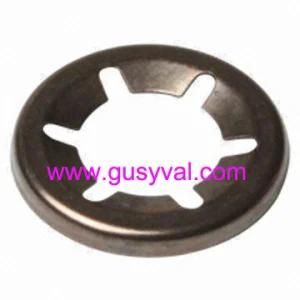 Thrust Washer