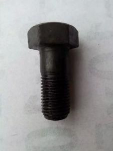 Black Bolts for Fasteners